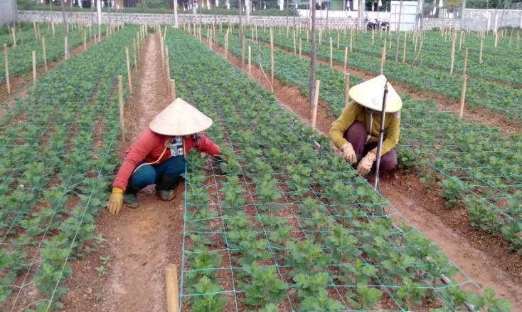 Phấn đấu thu nhập bình quân đầu người của huyện Bố Trạch đến năm 2025 đạt 70 triệu đồng/năm.