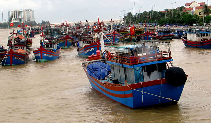 Rất nhiều tàu cá trên địa bàn phường Hải Thành và xã Bảo Ninh được chị Huyền đầu tư góp vốn để vươn khơi, bám biển.