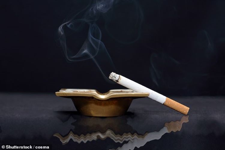 Hút 1 điếu thuốc mỗi ngày cũng có thể gây nghiện - Báo Quảng Bình điện tử