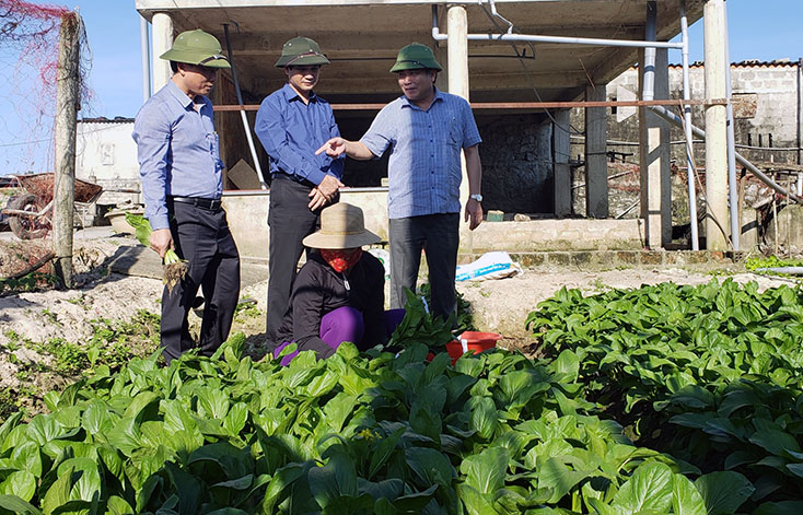 Đồng chí Đoàn Ngọc Lâm, Phó Chủ tịch Thường trực UBND tỉnh thăm mô hình rau sạch của người dân xã Thanh Thủy (Lệ Thủy).