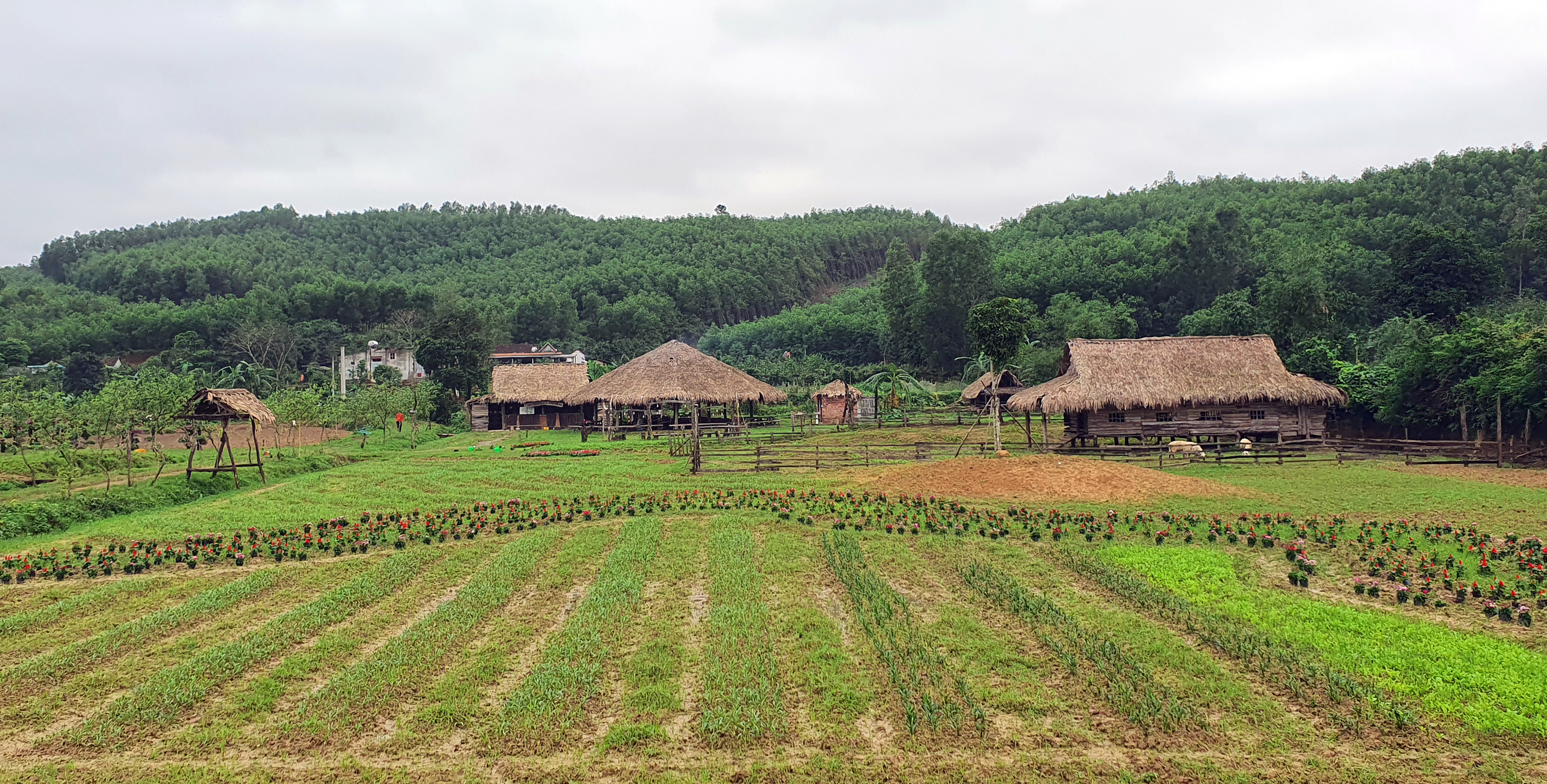 Trang trại Đồng Soi, xã Hưng Trạch, huyện Bố Trạch thu hút rất nhiều khách du lịch đến tham quan. 