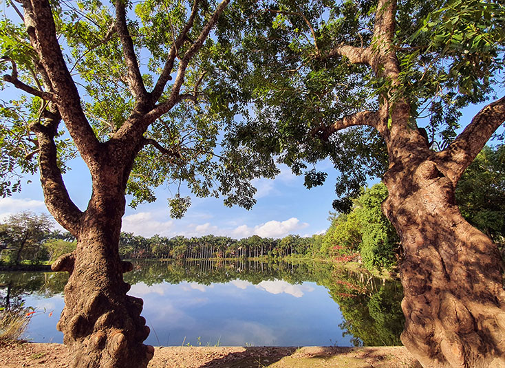 Công viên hồ Đồng Sơn bị bỏ hoang nhiều năm bởi những vướng mắc chưa được tháo gỡ.