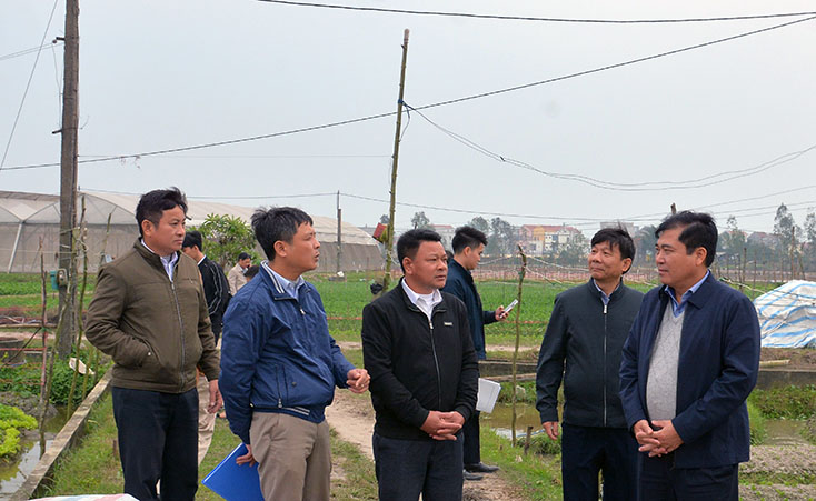  Đồng chí Phó Chủ tịch Thường trực UBND tỉnh kiểm tra tình hình sản xuất đông-xuân tại thị xã Ba Đồn.