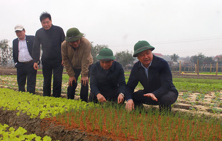 Thứ trưởng Bộ Nông nghiệp-PTNT Lê Quốc Doanh thăm cánh đồng rau màu xã Hồng Thủy (Lệ Thủy).