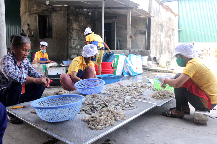 Các sản phẩm hải sản của HTX sản xuất, mua bán, chế biến thủy hải sản Vương Đoàn (xã Hải Ninh, huyện Quảng Ninh) được xây dựng đạt tiêu chuẩn OCOP.