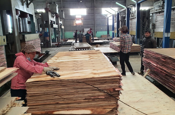 Hoạt động sản xuất mặt hàng gỗ xuất khẩu vẫn được duy trì và có bước tăng trưởng.	