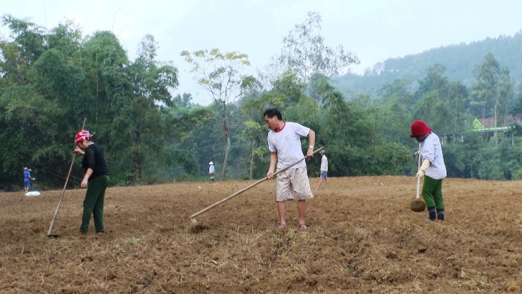 Bà con nông dân huyện Minh Hóa đang tích cực triển khai sản xuất vụ đông-xuân 2020-2021.