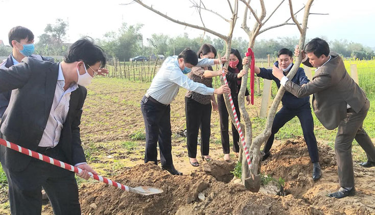 Lãnh đạo huyện Quảng Ninh hưởng ứng Tết trồng cây.