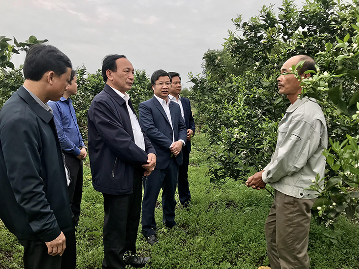    Đồng chí Phó Bí thư Thường trực Tỉnh ủy Trần Hải Châu và các đồng chí trong đoàn công tác thăm hỏi, động viên các hộ nông dân trồng cam tại xã Trường Thủy.