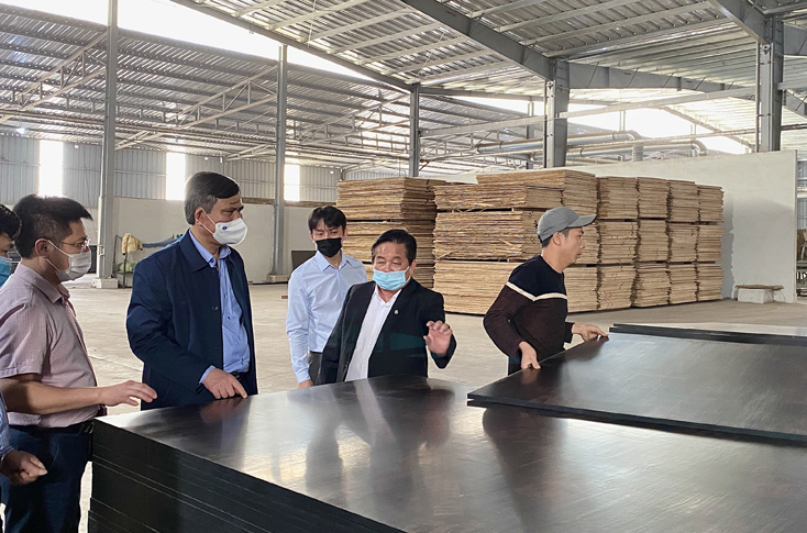 Đồng chí Chủ tịch UBND tỉnh Trần Thắng thăm Nhà máy sản xuất ván ép công nghiệp Thăng Long.