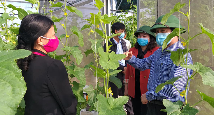 Đồng chí Trưởng ban Dân vận Tỉnh uỷ Lê Văn Bảo thăm mô hình sản xuất rau an toàn trong nhà lưới tại xã Võ Ninh