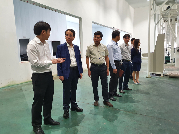 Đồng chí Phó Chủ tịch UBND tỉnh Phan Mạnh Hùng thăm quy trình sản xuất của Công ty cổ phần chế biến nông sản Tamico