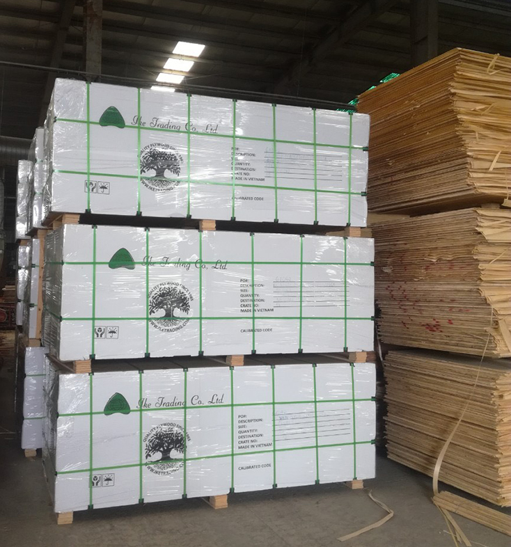 Thiếu vỏ container nên Công ty cổ phần gỗ Quảng Phát không thể xuất hàng sang các nước như kế hoạch.