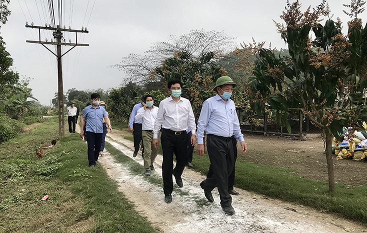 Đồng chí Phó Bí thư Thường trực Tỉnh ủy Trần Hải Châu và đoàn công tác thăm mô hình chăn nuôi lợn theo hướng hữu cơ tại xã Quảng Tiên.