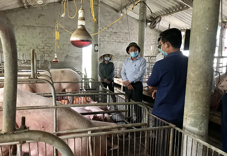 Đồng chí Trần Hải Châu kiểm tra hệ thống chuồng trại chăn nuôi tự động khép kín của trang trại ông Hoàng Văn Long.