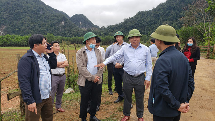 Đồng chí Phó Chủ tịch Thường trực UBND tỉnh Đoàn Ngọc Lâm kiểm tra tình hình sản xuất nông nghiệp và trồng rừng gỗ lớn tại xã Hóa Phúc (Minh Hóa).