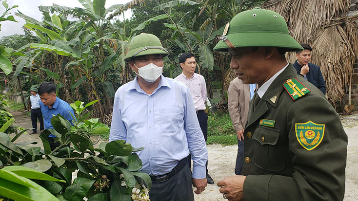 Đồng chí Phó Chủ tịch Thường trực UBND tỉnh Đoàn Ngọc Lâm thăm mô hình trồng cam tại xã Kim Hóa (Tuyên Hóa).