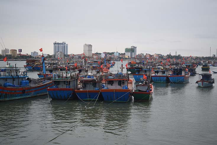 Đội tàu đánh bắt xa bờ xã Bảo Ninh góp phần nâng cao sản lượng đánh bắt của TP. Đồng Hới.
