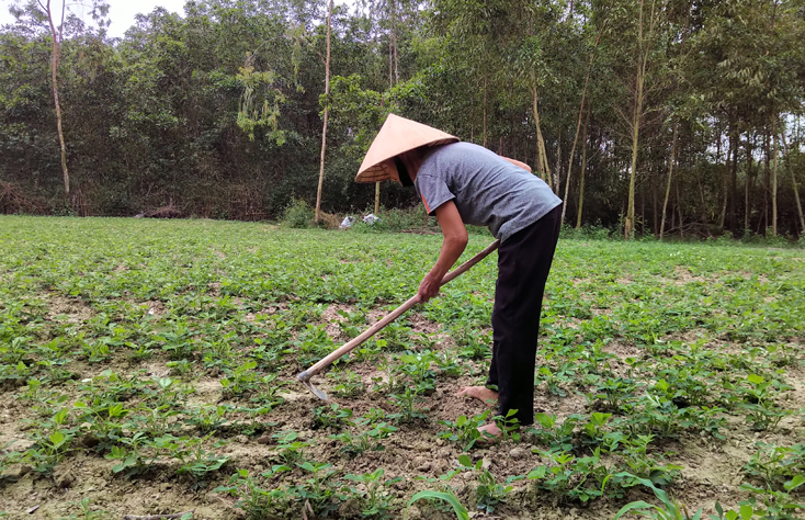 Với gói hỗ trợ sinh kế từ Hội Bảo trợ NTT và TMC tỉnh, bà Trương Thị Tỉnh có thêm đồng vốn để phát triển sản xuất, chăm sóc tốt hơn hai người con bị tật nguyền. 