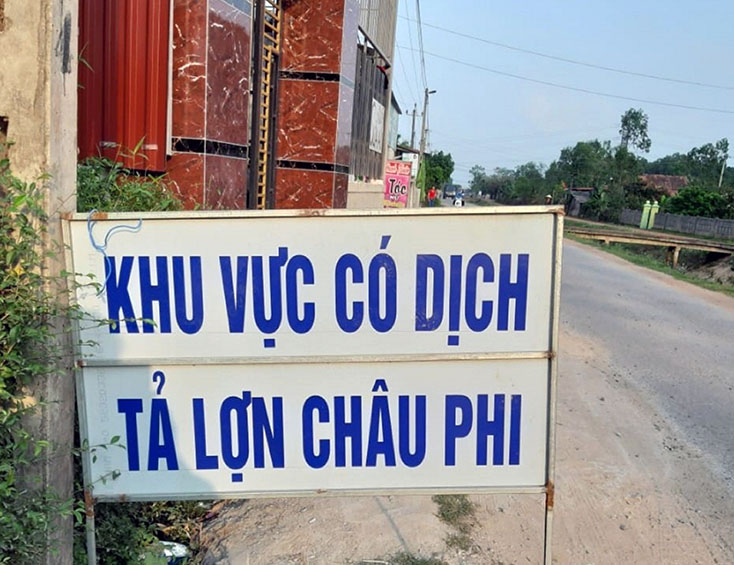 Chính quyền xã Quảng Tùng (Quảng Trạch) đã cắm biển cánh báo khu vực có DTLCP. 