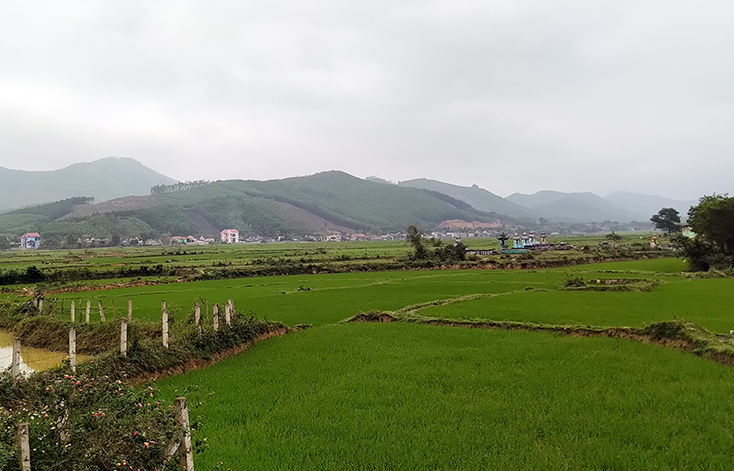 Sau cánh đồng lúa, các khu dân cư của Lâm Trạch tựa vào núi trải dài từ thôn 1 đến thôn 7 