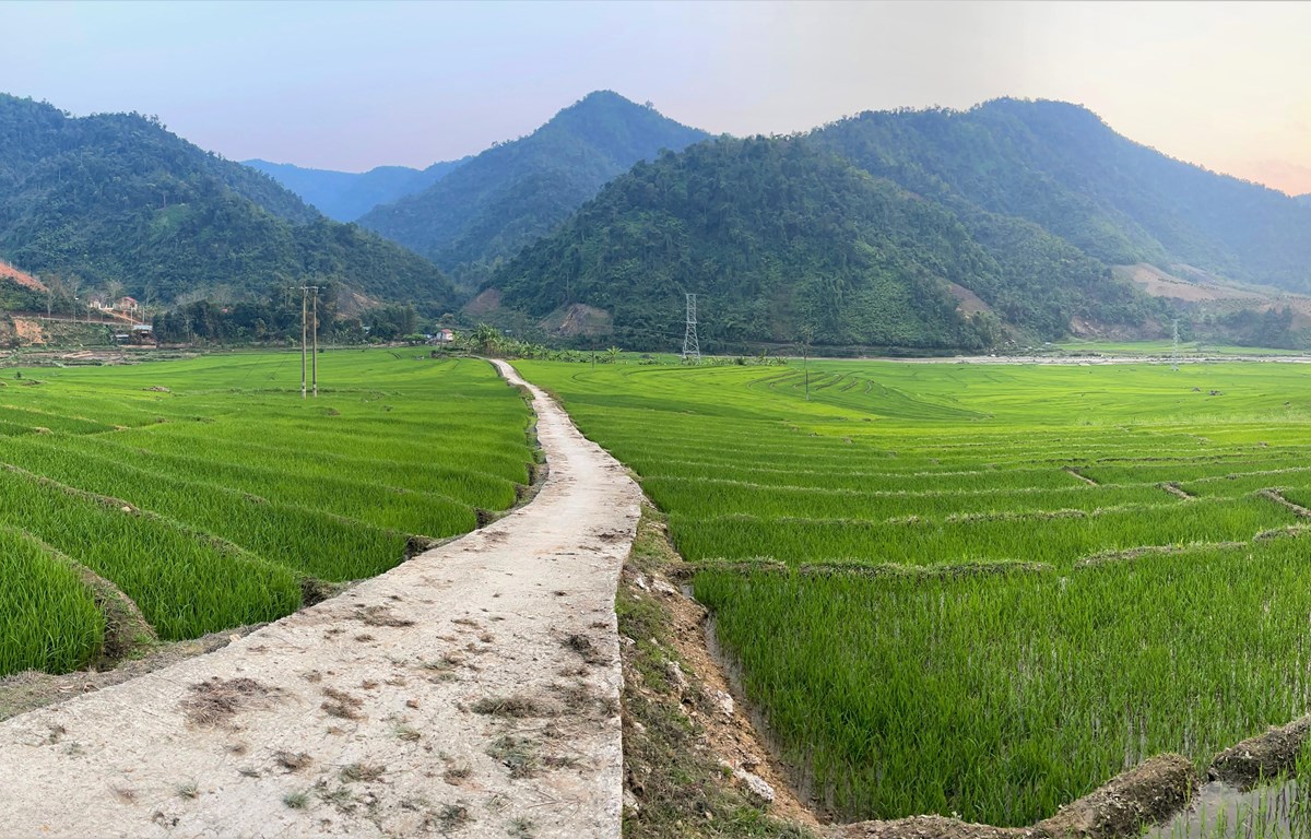 Ruộng bậc thang ở huyện vùng cao biên giới Mường Tè, Lai Châu. (Ảnh: Nguyễn Oanh - TTXVN)