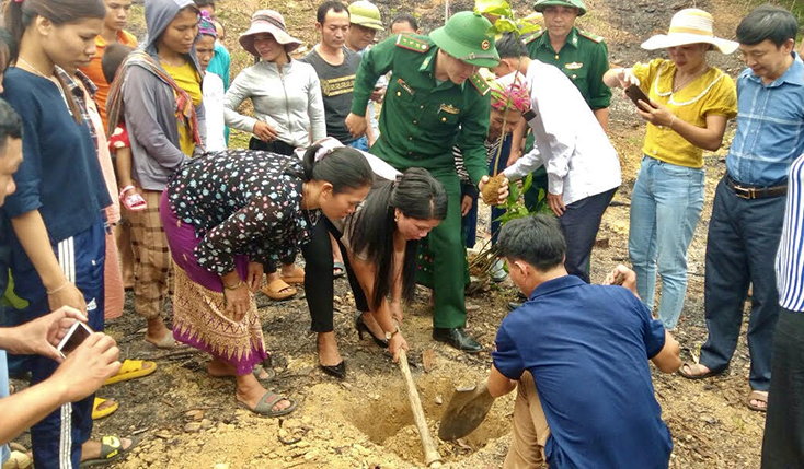 Các hộ dân tại bản La Trọng 1 ra quân trồng giổi.