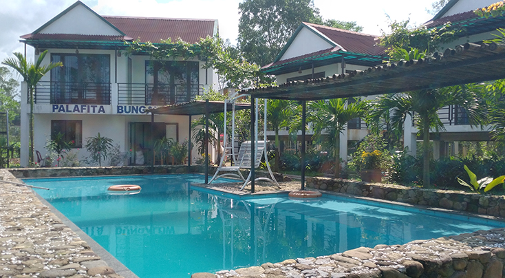 Hầu hết các homestay, farmstay ở khu vực Phong Nha-Kẻ Bàng phải chịu cảnh vắng khách trong mùa Covid-19.