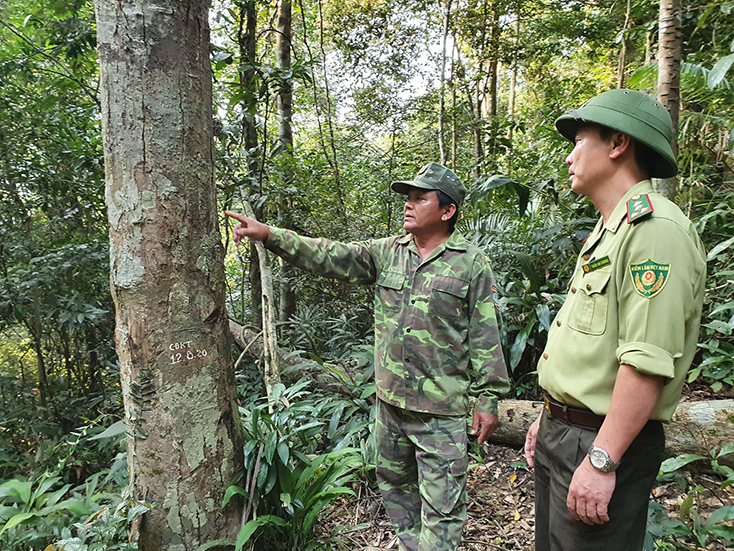 Lực lượng Kiểm Lâm và BQL rừng cộng đồng bản Phú Minh thường xuyên kiểm tra, phối hợp để bảo vệ rừng.