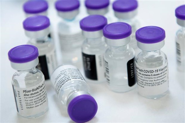 Vaccine ngừa COVID-19 của Pfizer. (Nguồn: AFP/TTXVN)