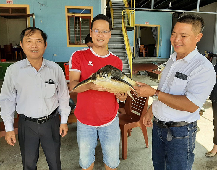 Anh Nguyễn Quốc Cường (phía bên phải) ở xã Bảo Ninh (TP. Đồng Hới) bàn giao các thể rùa quý cho Chi cục Thủy sản.
