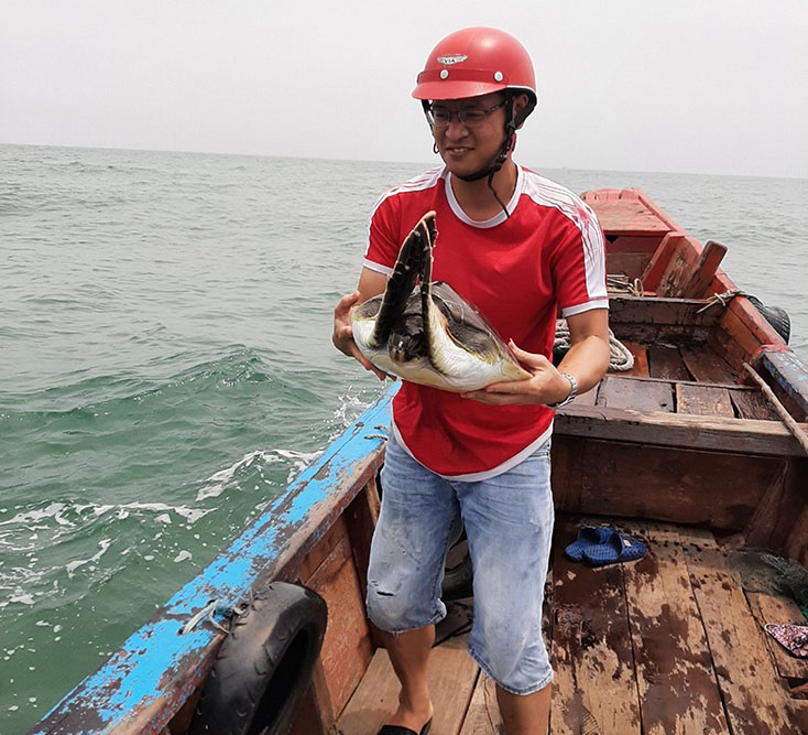 Cá thể rùa quý được Chi cục Thủy sản thả về môi trường tự nhiên tại bờ biển xã Bảo Ninh (TP. Đồng Hới).