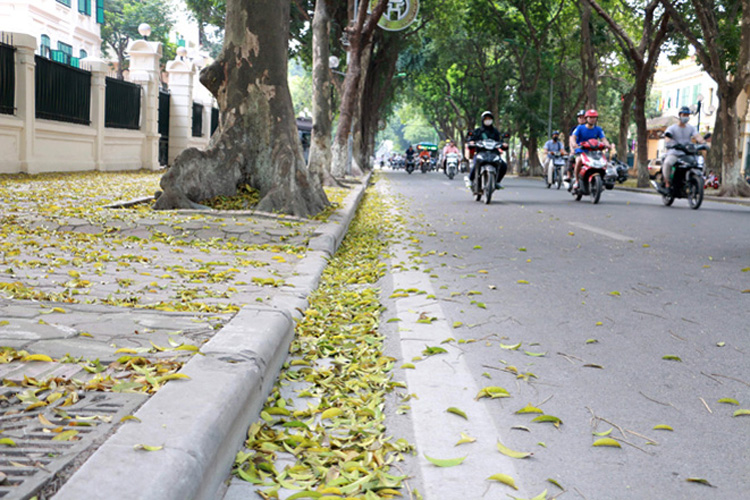  Hà Nội sáng sớm có sương mù nhẹ, trời nắng.