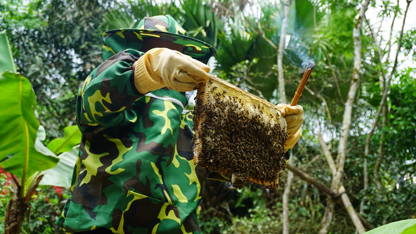 Với kinh nghiệm hơn 30 năm nuôi ong, ông Đinh Xuân Khách (thôn thôn Minh Xuân, xã Xuân Hóa), tháng 4 và tháng 5 (tháng ba và tháng tư âm lịch) là thời điểm đàn ong cho mật nhiều nhất.