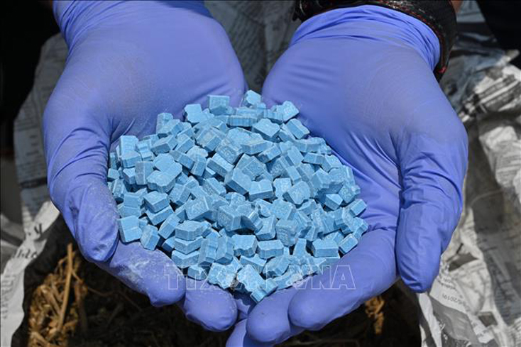 Cảnh sát trưng bày số ma túy thu giữ trong các chiến dịch truy quét buôn lậu ma túy tại cuộc họp báo ở Jakarta, Indonesia. Ảnh tư liệu: AFP/TTXVN