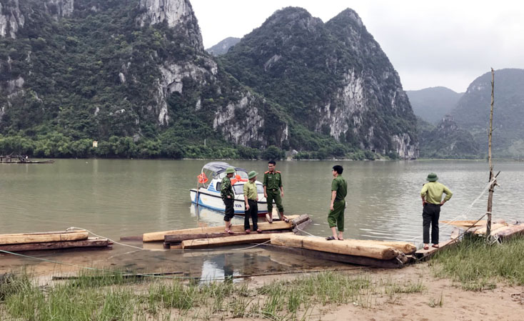 Lực lượng Công an huyện bàn giao tang vật cho Kiểm lâm huyện Tuyên Hóa xử lý.