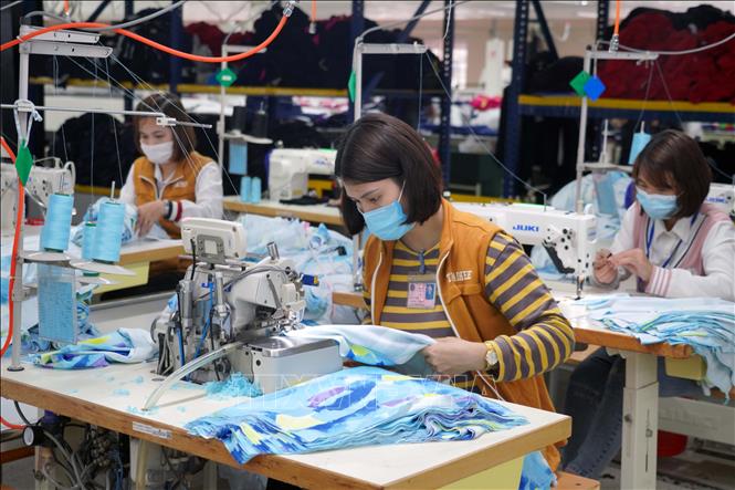  Lao động nữ tại Công ty Cổ phần Norfolk Hatexco ở Khu công nghiệp Đồng Văn 1 tỉnh Hà Nam. Ảnh minh họa: Đại Nghĩa/TTXVN