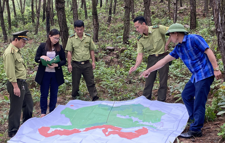 Đoàn liên ngành huyện Bố Trạch kiểm tra thực địa và bàn phương án bảo vệ tại vùng rừng xã Xuân Trạch.