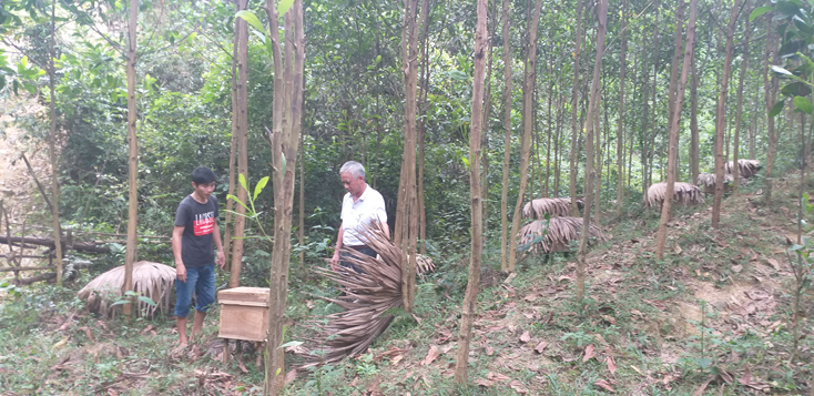 Hỗ trợ sinh kế và nhân rộng mô hình tạo điều kiện để người nghèo thay đổi tập quán sản xuất.