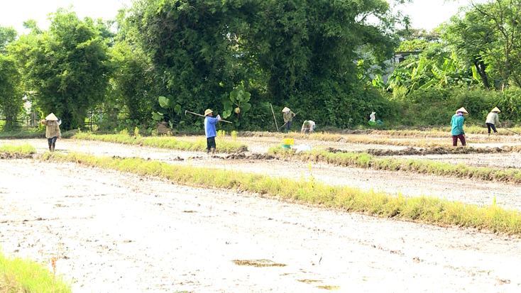 Nông dân huyện Lệ Thủy khẩn trương cày ải làm đất gieo sạ vụ lúa hè-thu 2021.