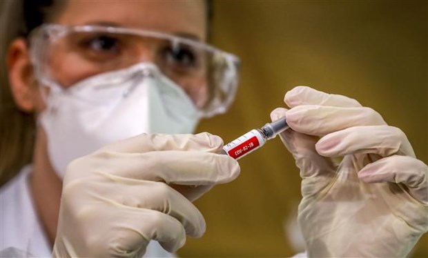 Nhân viên y tế chuẩn bị tiêm thử nghiệm vaccine phòng COVID-19 cho một tình nguyện viên tại Porto Alegre, Brazil, ngày 8-8-2020. (Ảnh: AFP/TTXVN)
