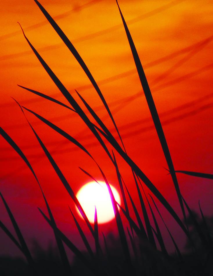 Ảnh minh họa: Tiến Hành