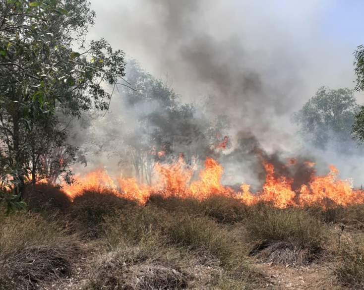 Vụ cháy rừng lớn đang xảy ra tại xã Ngư Thủy Bắc