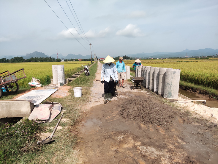 Huyện Quảng Ninh chú trọng nâng cao chất lượng các tiêu chí trong xây dựng NTM.