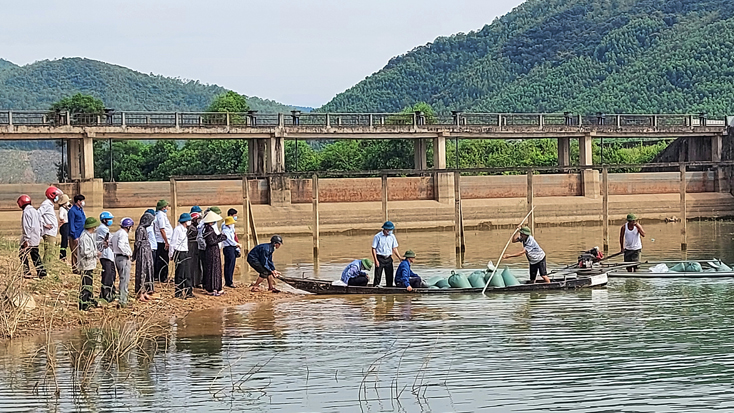 Thả cá giống vào môi trường tự nhiên tại hồ chứa Đập Bẹ, xã Mai Hóa, huyện Tuyên Hóa.