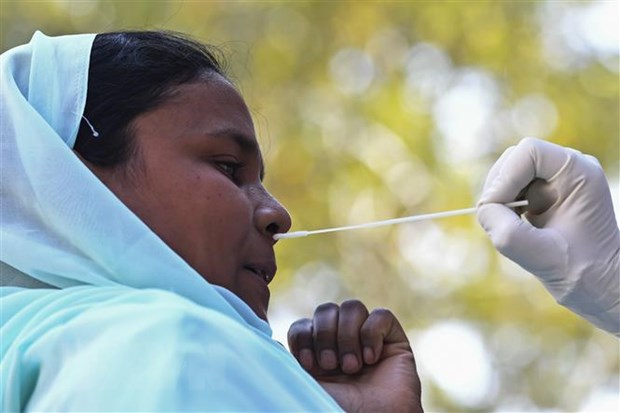 Nhân viên y tế lấy mẫu xét nghiệm COVID-19 tại Srinagar, Ấn Độ. (Ảnh: THX/TTXVN)