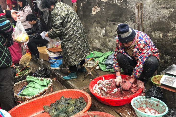 Một số ca nhiễm COVID-19 đầu tiên có liên quan đến Chợ hải sản Hoa Nam ở Vũ Hán, Trung Quốc. Ảnh: Simon Song.