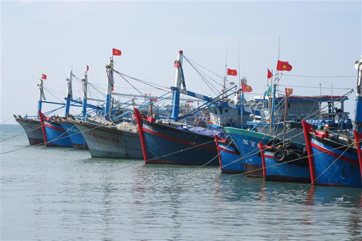 Đội tàu khai thác xa bờ của ngư dân neo đậu tại cảng cá Mỹ Tân (huyện Ninh Hải, Ninh Thuận). Ảnh: Nguyễn Thành/TTXVN