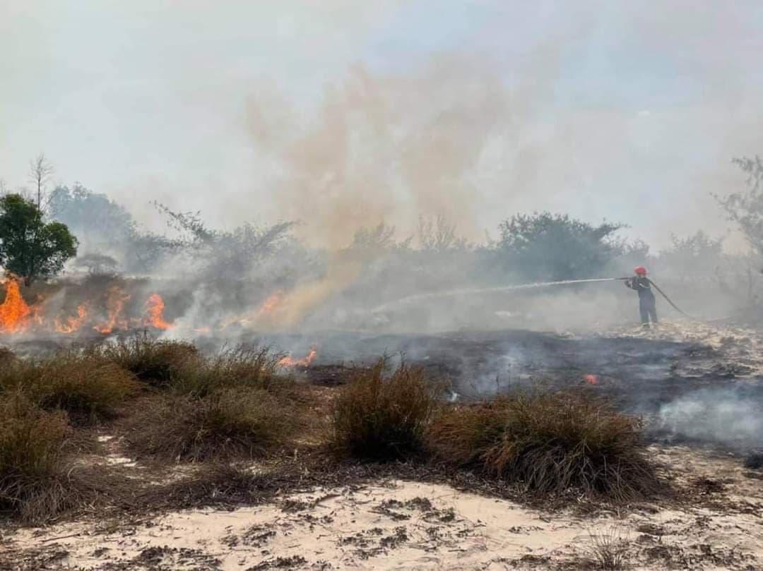 Hiện trường vụ cháy 21,7ha rừng tại xã Ngư Thủy Bắc.
