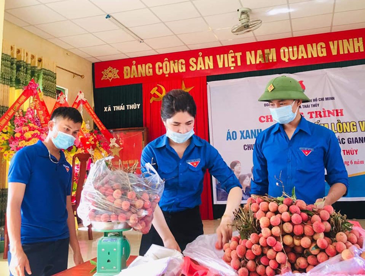Điểm bán vải thiều cho nông dân Bắc Giang tại xã Thái Thủy